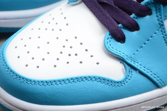 Rep EP Hornets 554724-415 1  Mid Jordan 554724-415 0801